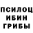 Галлюциногенные грибы GOLDEN TEACHER Mike Kenny