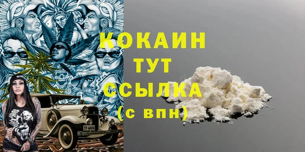 прущие грибы Белокуриха
