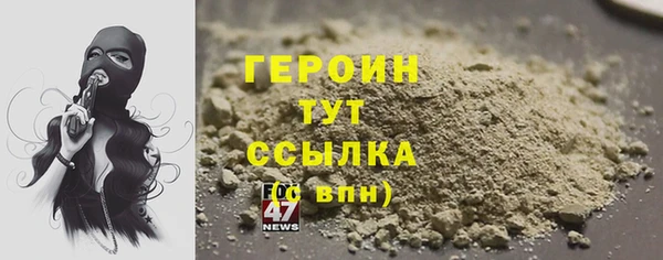прущие грибы Белокуриха